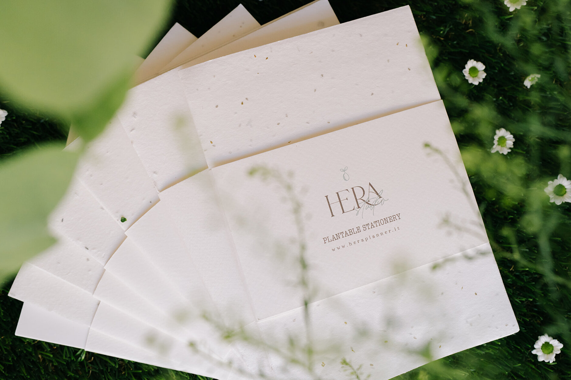 herastudio_carta piantabile.jpeg herastudio_carta piantabile.jpeg