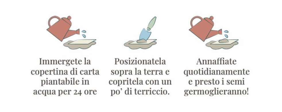 istruzioni herastudio_cartoleria piantabile.jpeg istruzioni herastudio_cartoleria piantabile.jpeg