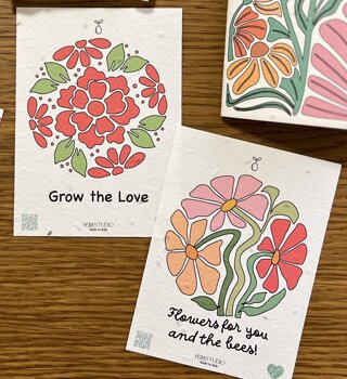 cartoleria piantabile herastudio.jpeg cartoleria piantabile herastudio.jpeg