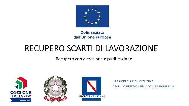 logo sito dm.50.jpeg