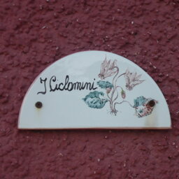I CICLAMINI