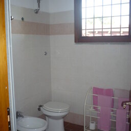 I CICLAMINI (IL BAGNO)