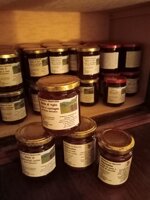 miele-di-montagna-250gr