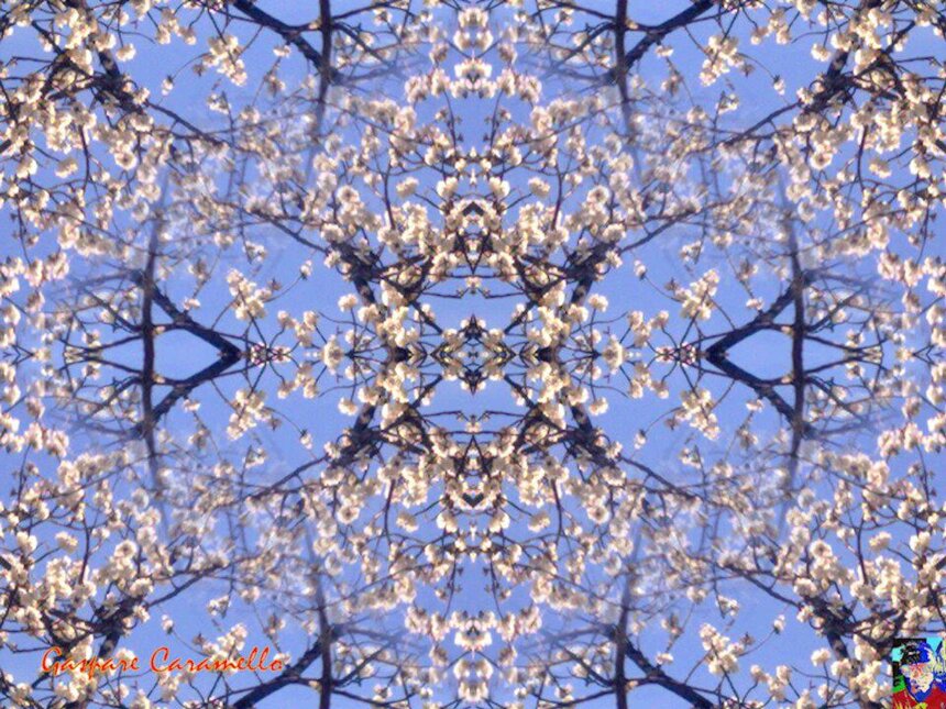 34af1b1675a8968929a21f14ec2cff2947ed9d15