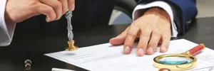 istockphoto-956243400-612x612.jpeg