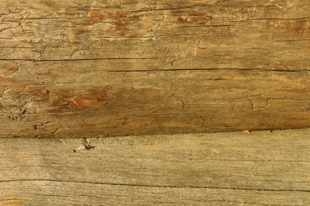 e96fbdd6334240d08296f428191a3d2e1b658624