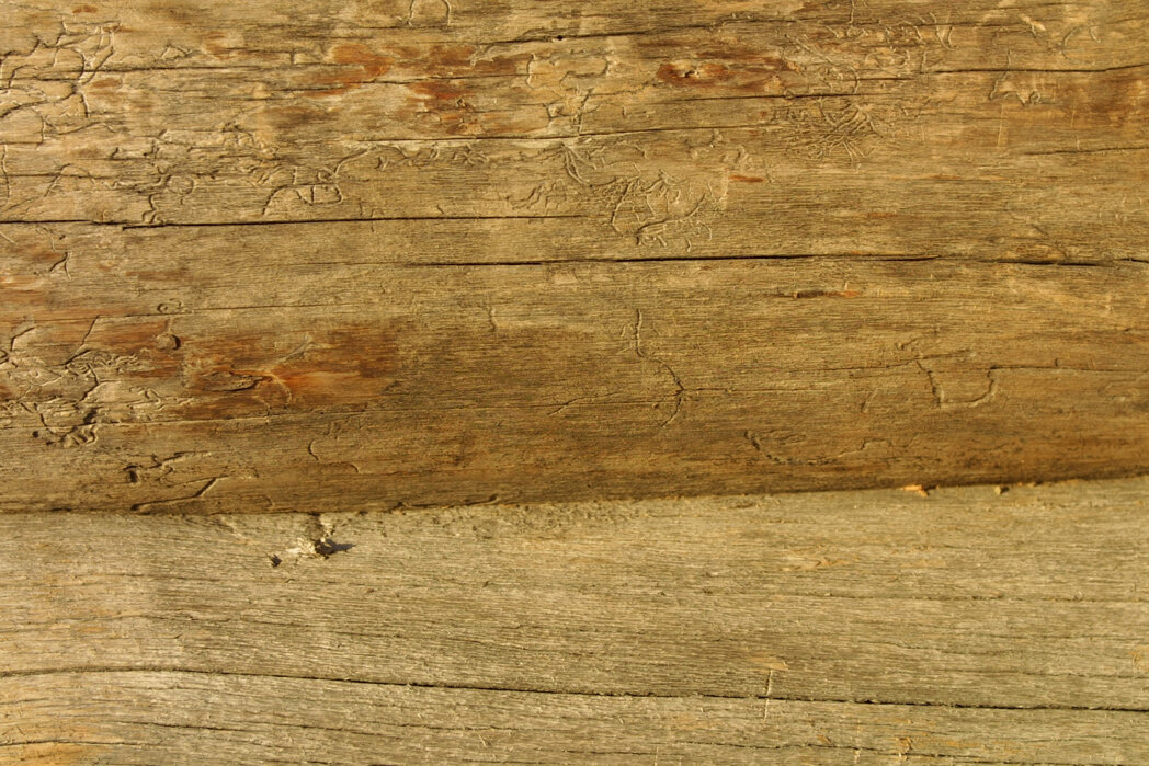 e96fbdd6334240d08296f428191a3d2e1b658624