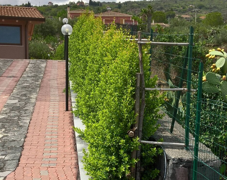 whatsapp image 2026-01-29 at 11.11.28 copia.jpeg