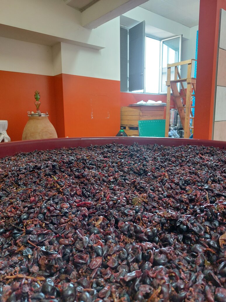 20240924_085747.jpeg 20240924_085747.jpeg