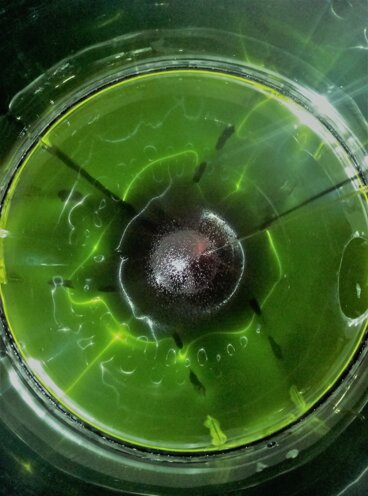 p91024-173827 (2).jpeg