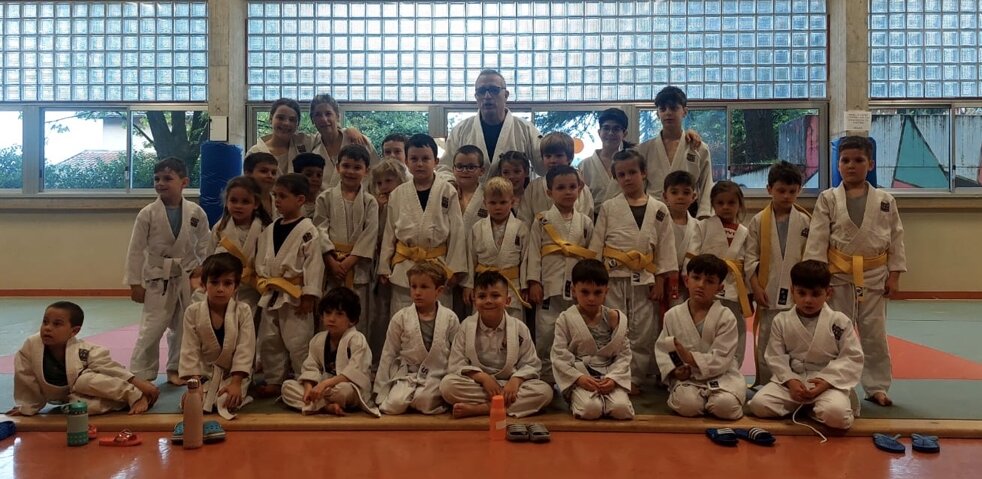gruppo gioca judo.jpeg