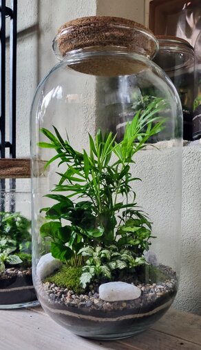 terrarium