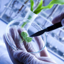 Prodotti Biotecnologici Prodotti Biotecnologici