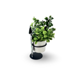 ombrelline-porta-piantina-abbraccio