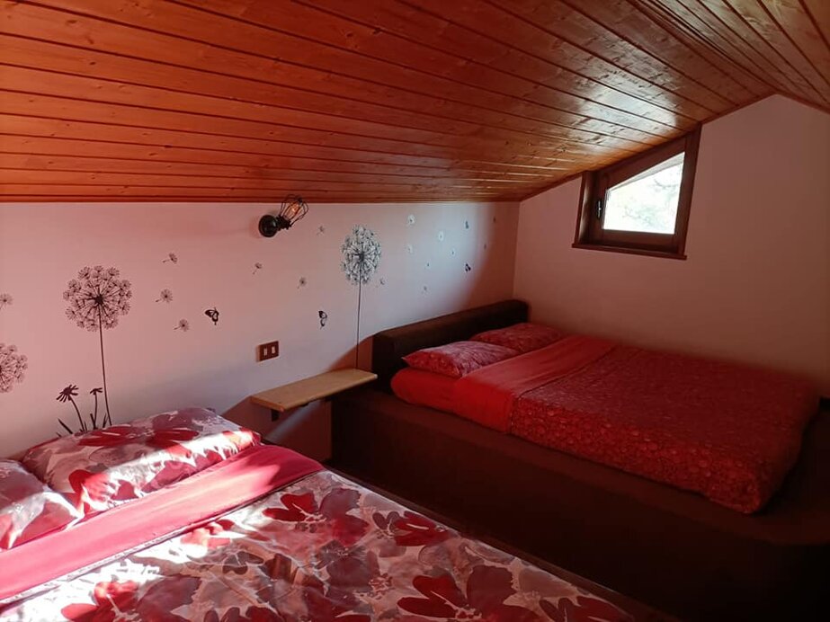 347096647_1288939632000629_6592060823544832874_n (1).jpeg