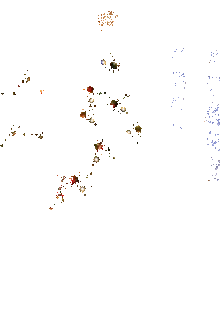 buon-natale-merry-christmas