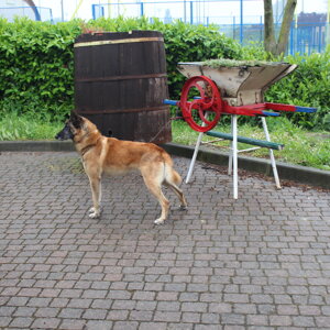 img_6821.jpeg