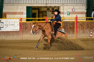 e9c33e804ea3196829c9454c39e89c4e838de4da