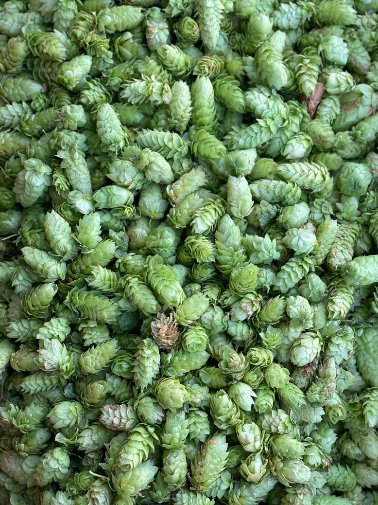 6213a04c5f64281a5c83f5e16a42fbfc1fe0d4b7