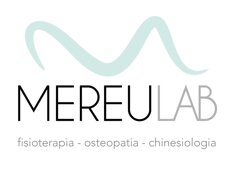logo mereulab.jpeg