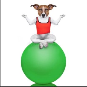 profilo chinesiologia.jpeg