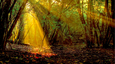 9d5af2394ab01d6072043e571b545fa65cade534 9d5af2394ab01d6072043e571b545fa65cade534