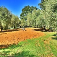 Sistemazione Terra da scavo