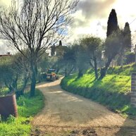 ripristino strada privata