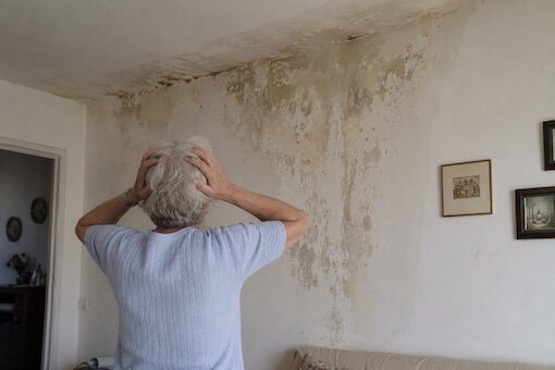 infiltrazione_soffitto.jpeg infiltrazione_soffitto.jpeg