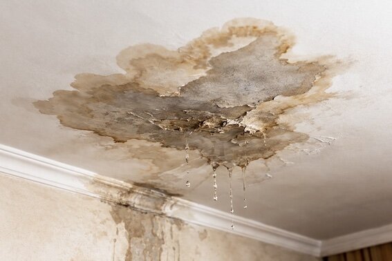 Macchie d&rsquo;umidit&agrave;: indizio o enigma?