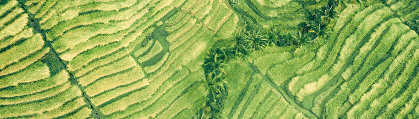 eyJlbiI6IldobyB3ZSB3b3JrIHdpdGgifQ==