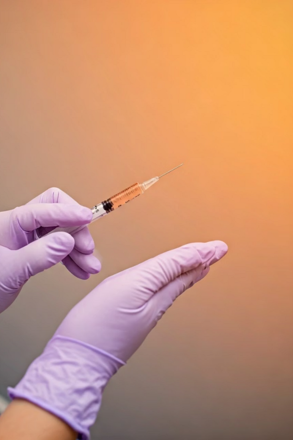 immagine1234 immagine1234