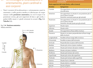 screenshot%202026-03-20%20alle%2016.21.04