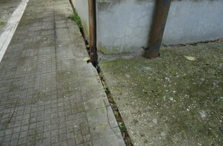 dsc01717.jpeg