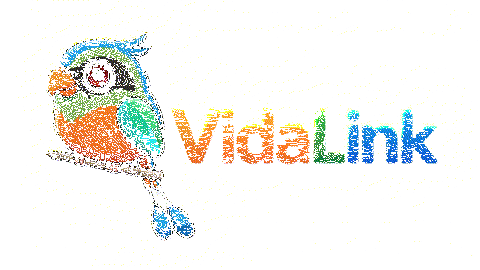 parrot_on_branch_winking_20260914181141
