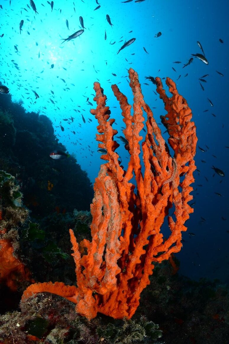 534232761d853e71dc0ef14b4d5a263c56fb3e89 534232761d853e71dc0ef14b4d5a263c56fb3e89