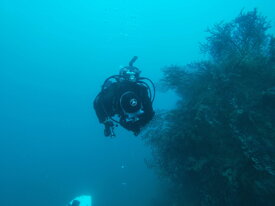 9fa5f04bbf4363d688cf0e92d7c503bc87c4bcf0