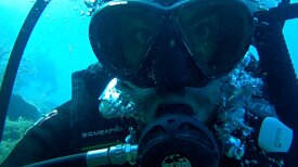 fdf6f7e5b7fcf3c86dddb68fb6700a60629ee95c