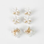 7551-card-con-6pz-pinza-oro-cm-2-con-perle