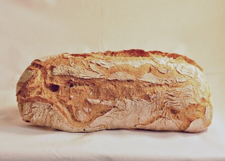 1958fb1b55f59bc791ceb0758e6886cb53001bdb