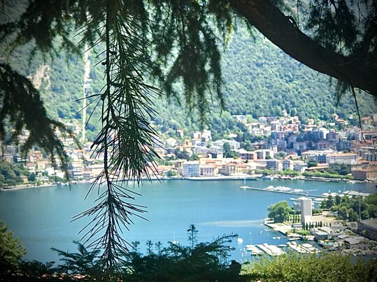 7cf9195773b125a07b4b5b80289b4b8377ea65d3.jpeg 7cf9195773b125a07b4b5b80289b4b8377ea65d3.jpeg