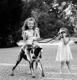 foto-113.jpeg foto-113.jpeg