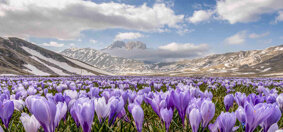 Gran Sasso Gran Sasso