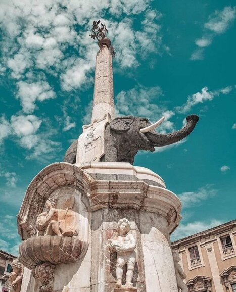 liotrro catania.jpeg