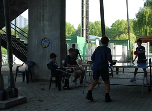dsc_8888.webp