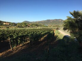 334e1a0277e783da81f4dd34b353db8863257cea 334e1a0277e783da81f4dd34b353db8863257cea