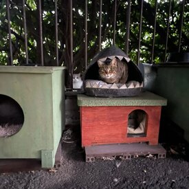 84ee82e4f3c4c5b998ff851b5bbd9a99d297500c