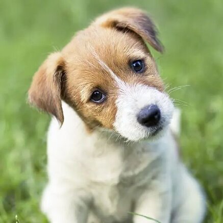 96a6f4f66f2ad4c01c28d6e13770a333ee371813