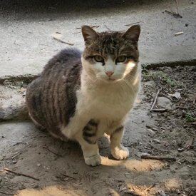 dcf21202cec465dc1e94ac0a870b30c48919e851