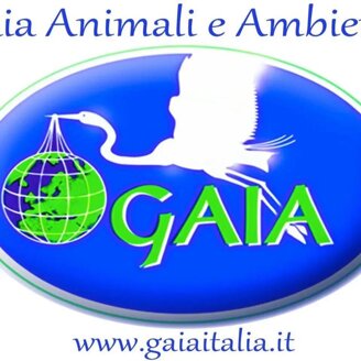 df7e7a21766b707072e65aaa039dbdf07673f69d